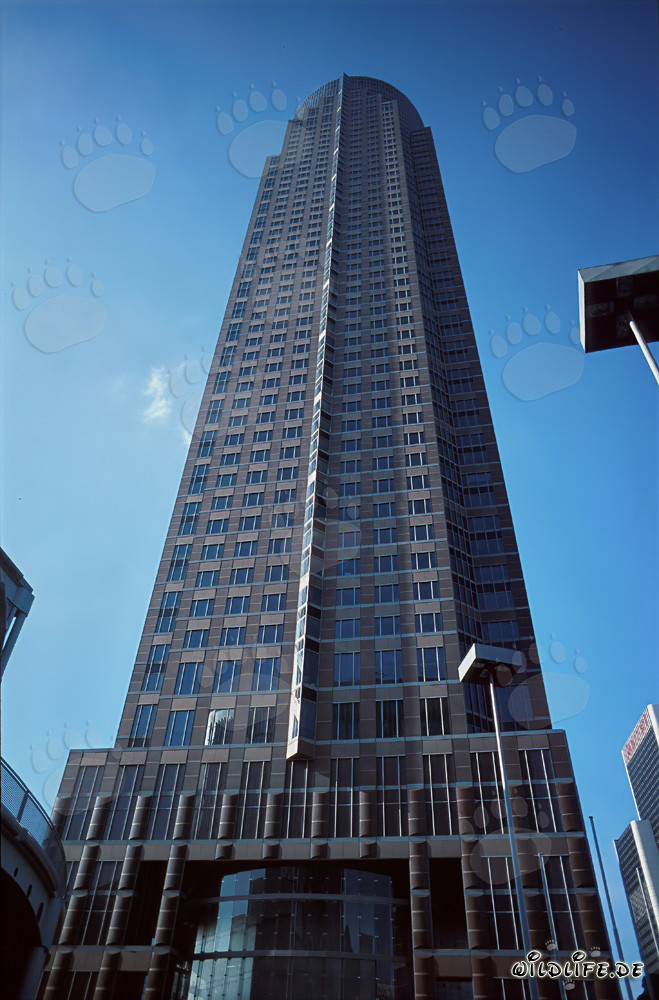 La imponente Torre de la Feria - Un rascacielos en el Westend de Frankfurt
