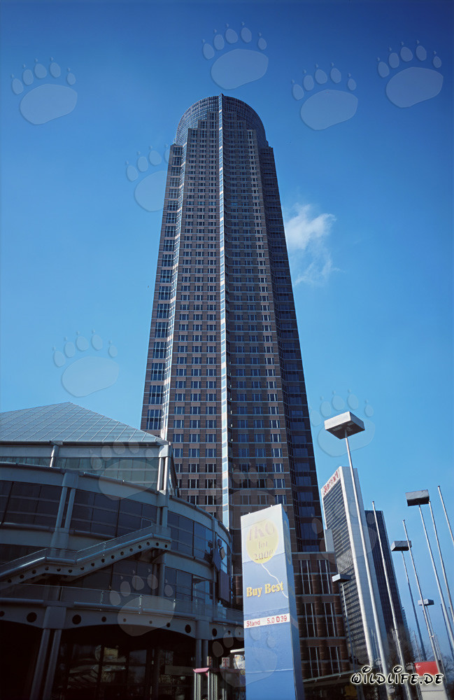 Francoforte sul Meno - MesseTurm: Simbolo della modernità nella metropoli bancaria