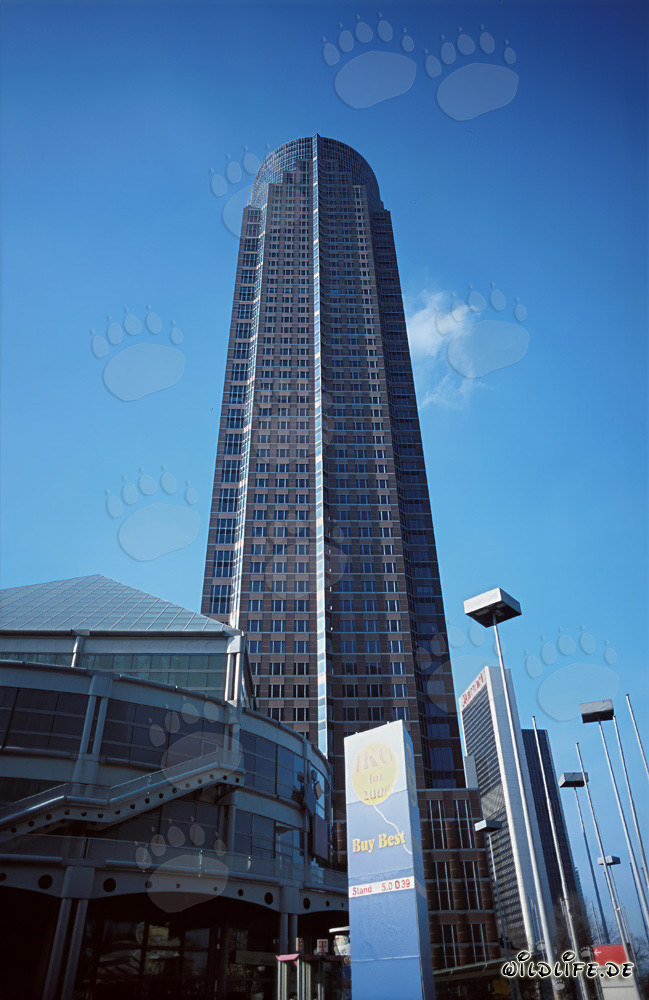 Frankfurt am Main - MesseTurm: Symbol der Moderne in der Bankenmetropole