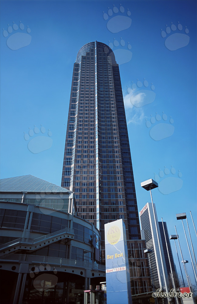 Fráncfort del Meno - MesseTurm: Símbolo de la modernidad en la metrópoli bancaria