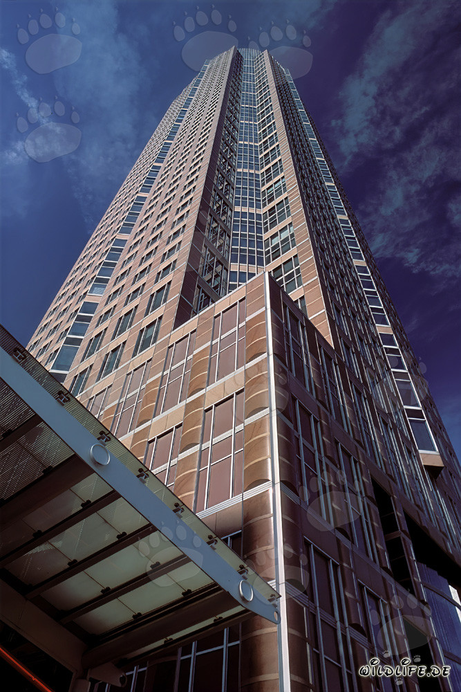 Fascinante grattacielo Messeturm a Francoforte sul Meno