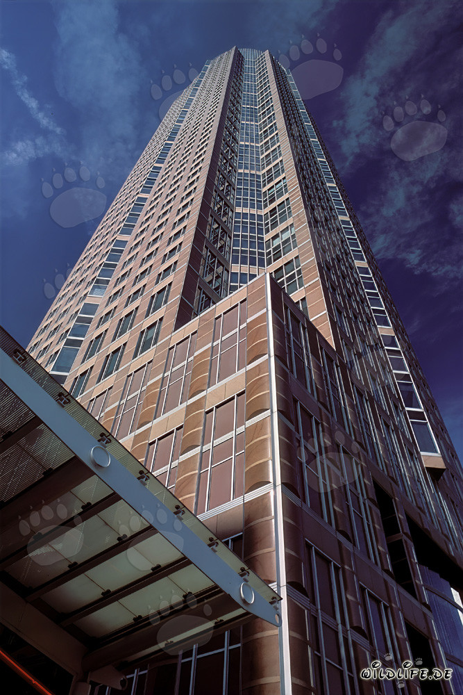 Impressionnant gratte-ciel Messeturm à Francfort-sur-le-Main