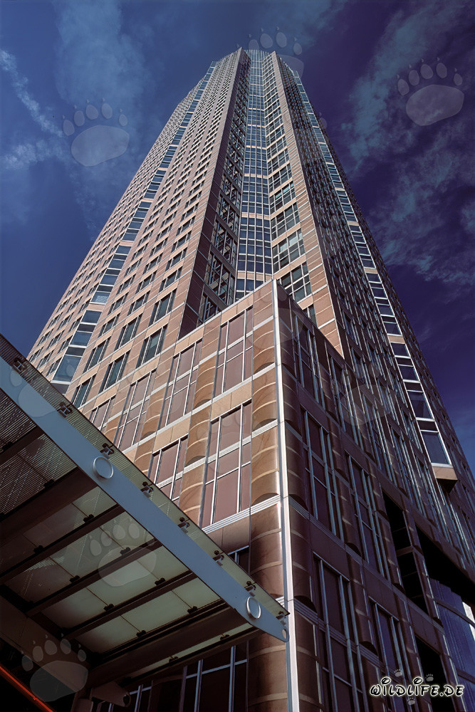 Impresionante rascacielos Messeturm en Frankfurt am Main
