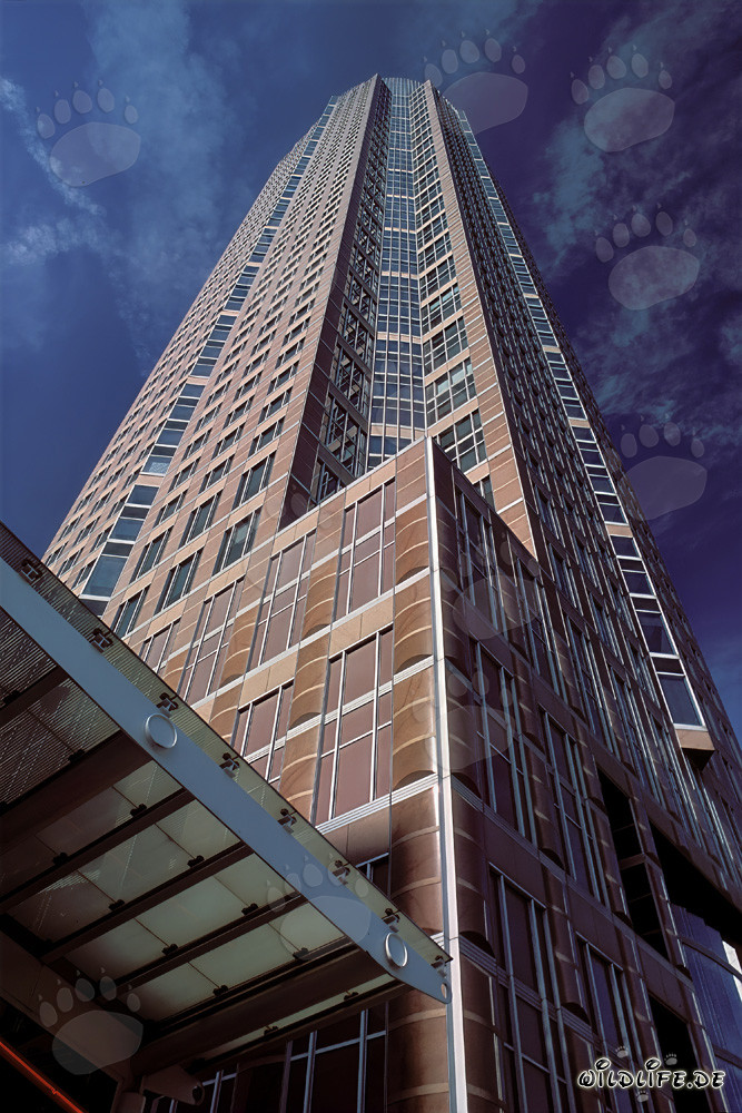 Fascinating Skyscraper Messeturm in Frankfurt am Main