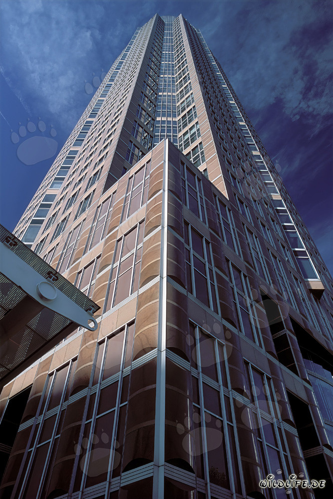 Fascinating Fair Tower of Frankfurt