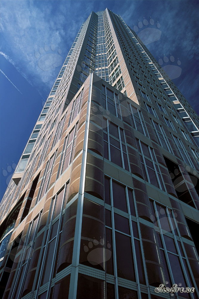 Beeindruckender Wolkenkratzer Messeturm Frankfurt