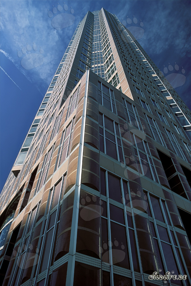 Impresionante rascacielos Messeturm Frankfurt