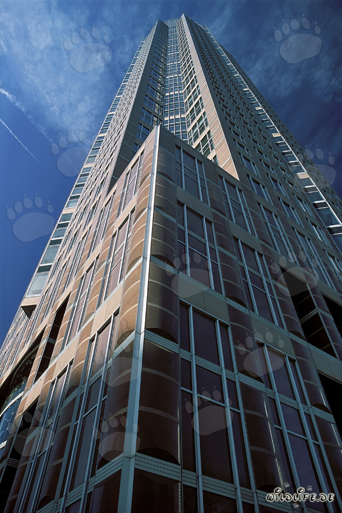 Impressive Skyscraper Messeturm Frankfurt