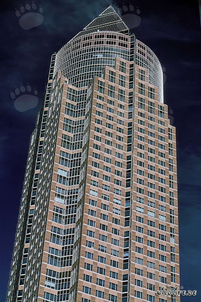 Der imposante Messeturm in Frankfurt am Main