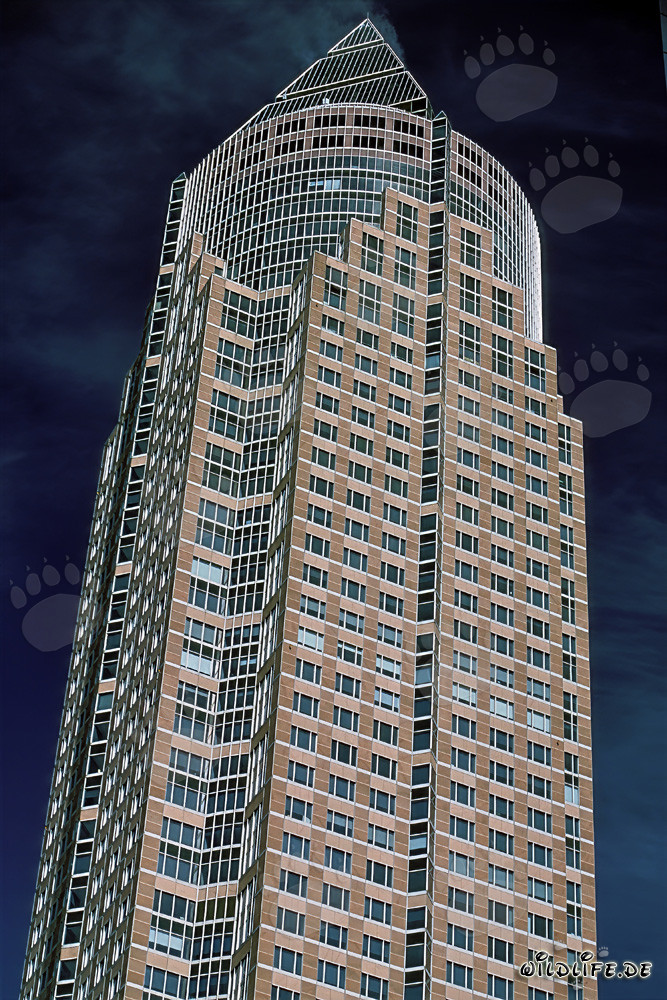 The impressive Messeturm in Frankfurt am Main