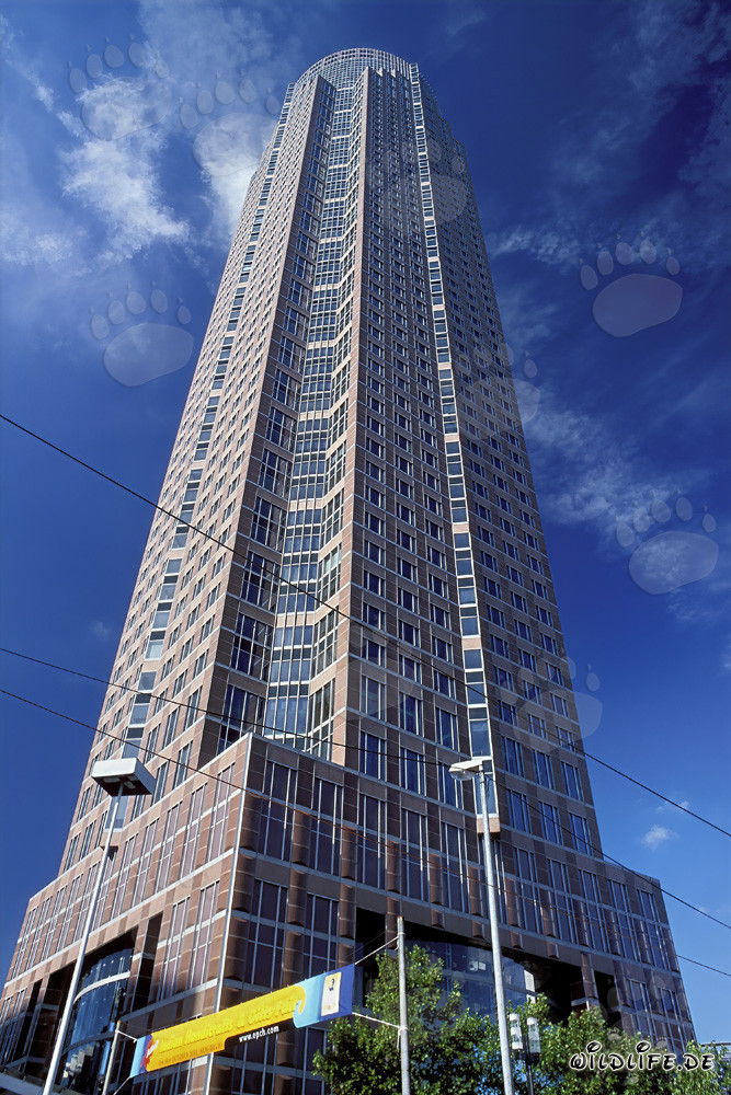 The impressive Messeturm in Frankfurt am Main
