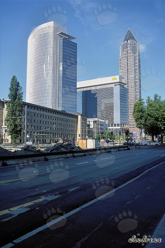 Impressionen des imposanten Frankfurter Messeturms