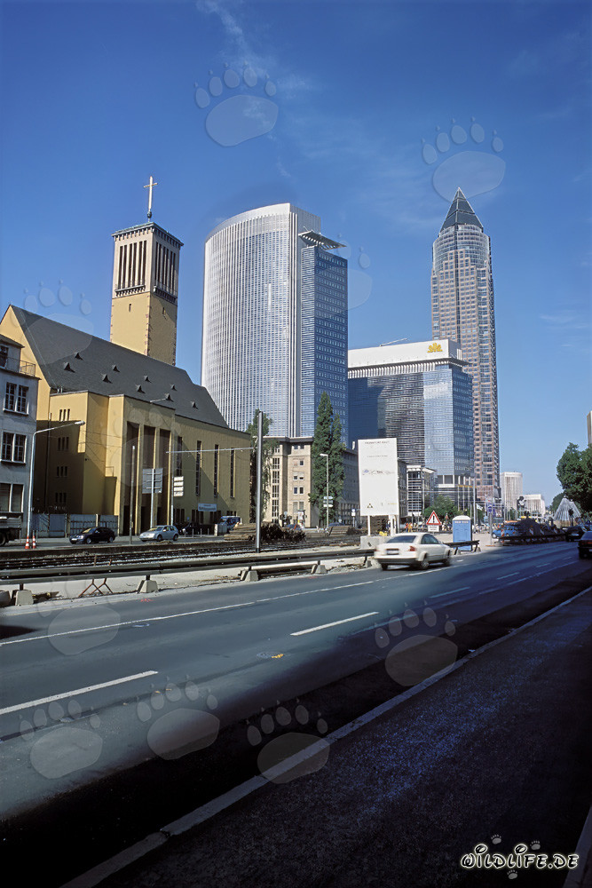 Messeturm - Wolkenkratzer in Frankfurt
