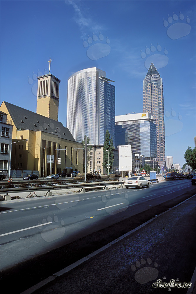 Messeturm - Rascacielos en Fráncfort