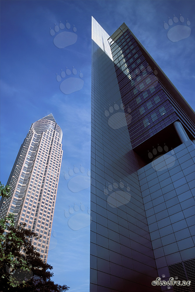 Impressive Messeturm Frankfurt with distinctive pyramid peak