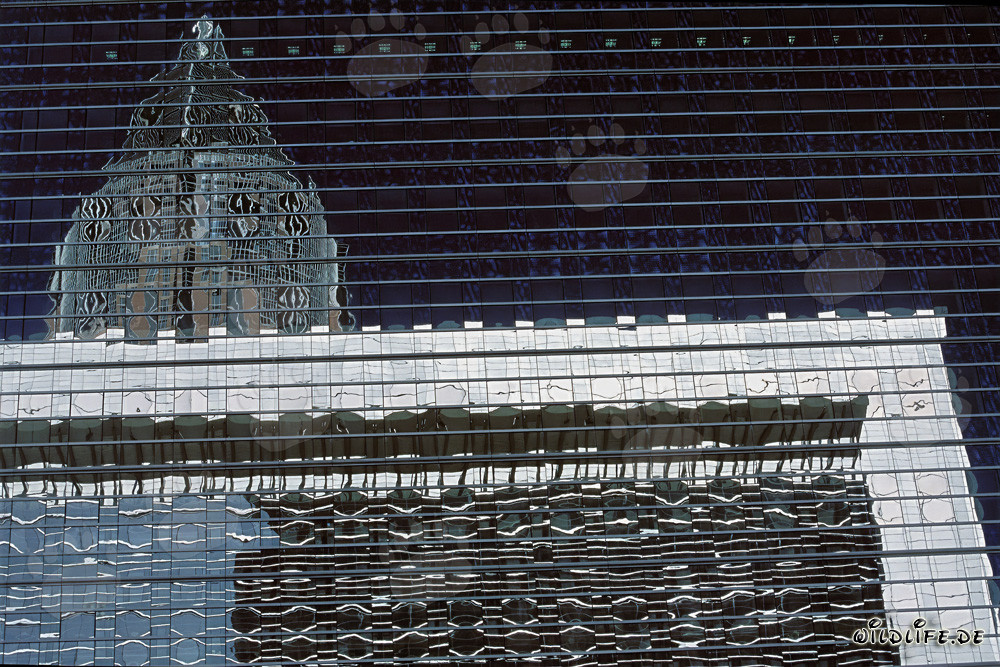 Fascinating Reflection of the Trade Fair Tower in Frankfurt