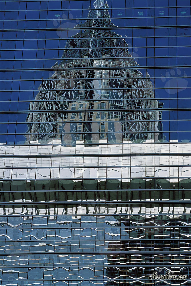 Fascinante reflejo de la torre de la feria en Frankfurt