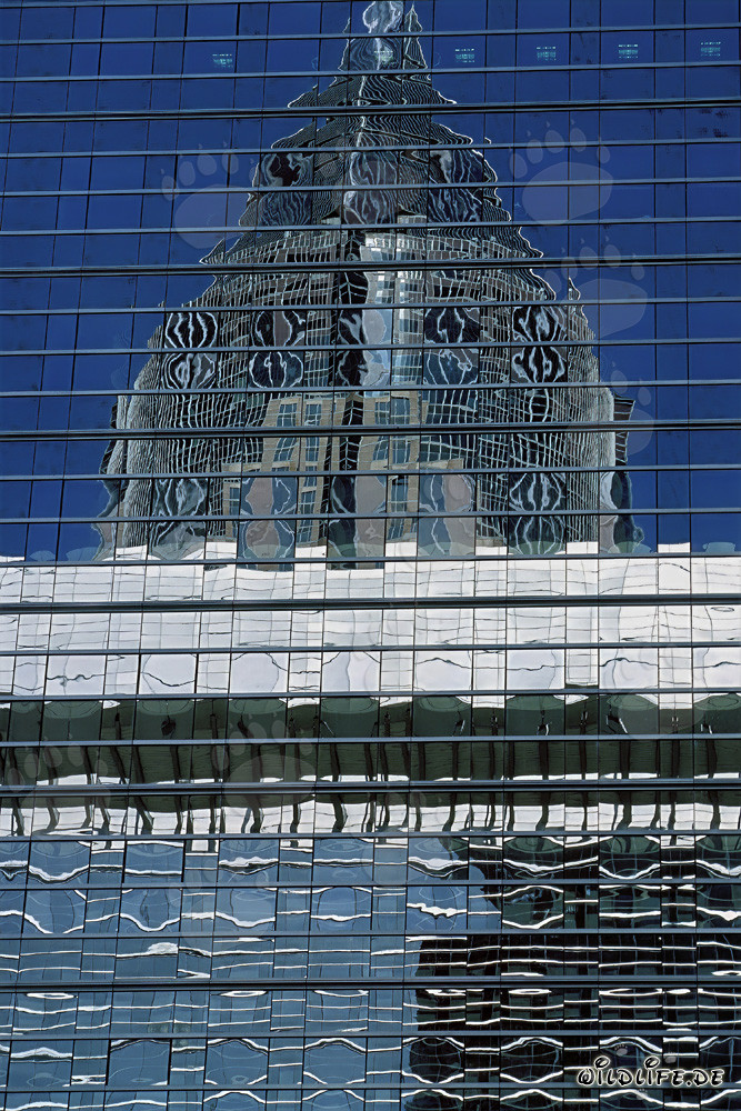 Réflexion fascinante de la tour de la foire de Francfort