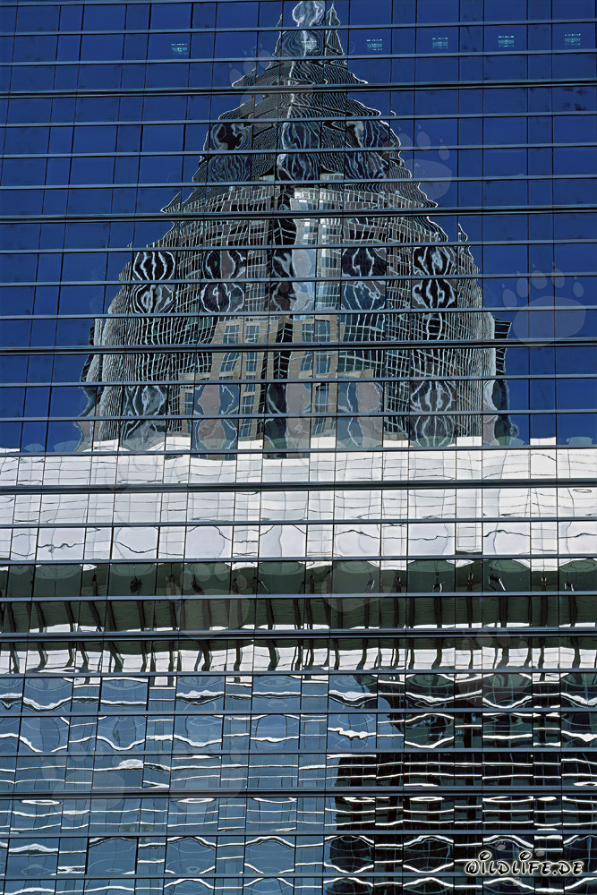 Faszinierende Spiegelung des Messeturms in Frankfurt