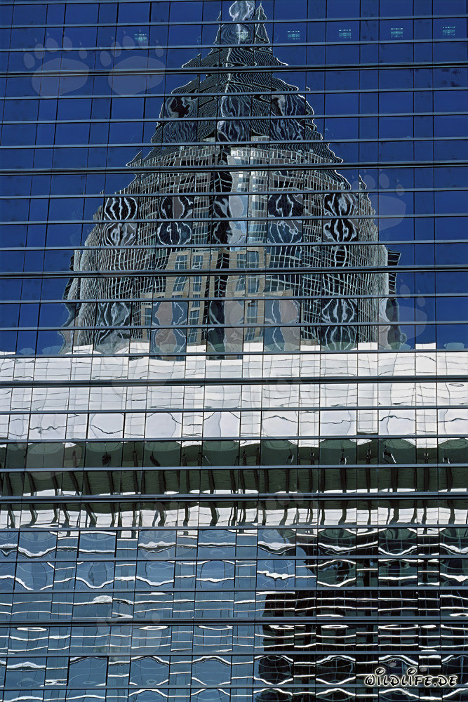 Fascinating Reflection of the Trade Fair Tower in Frankfurt