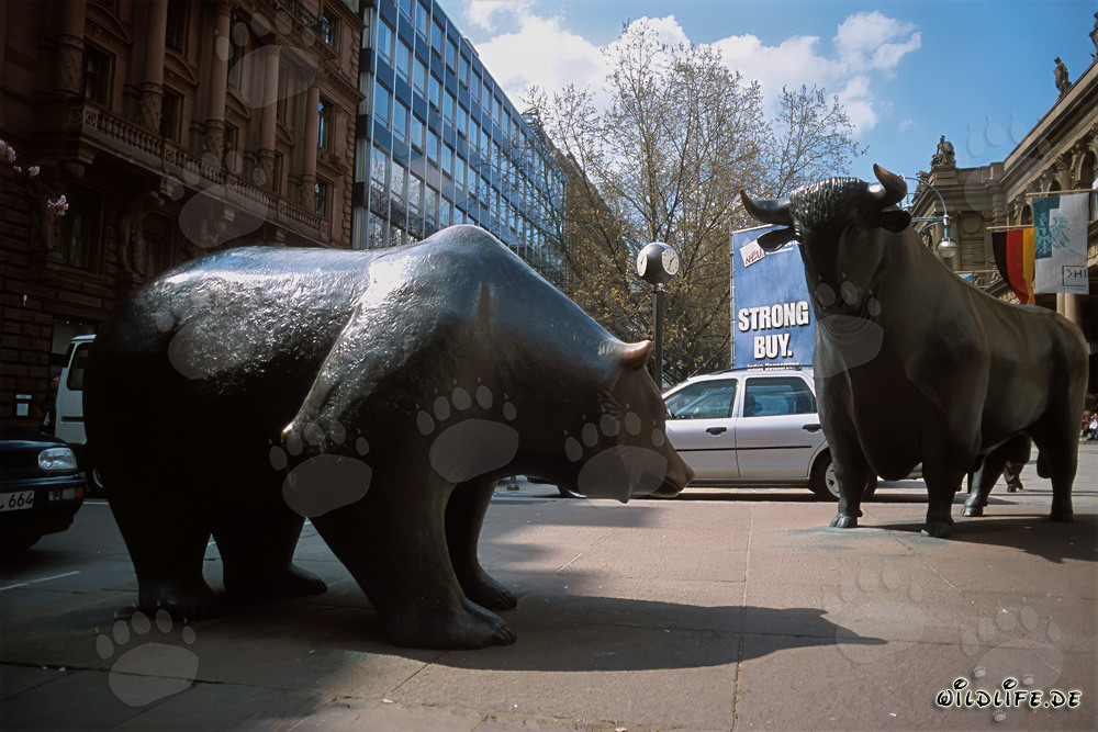 Frankfurt Stock Exchange Bull and Bear