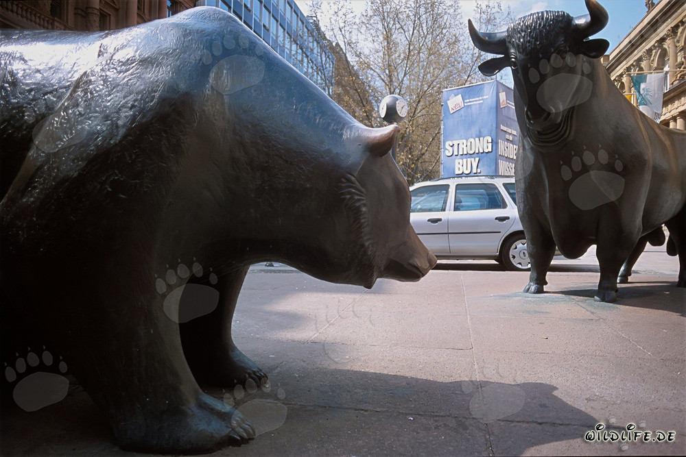 Bulle und Bär – Symbolfiguren der Börse treffen sich in Frankfurt