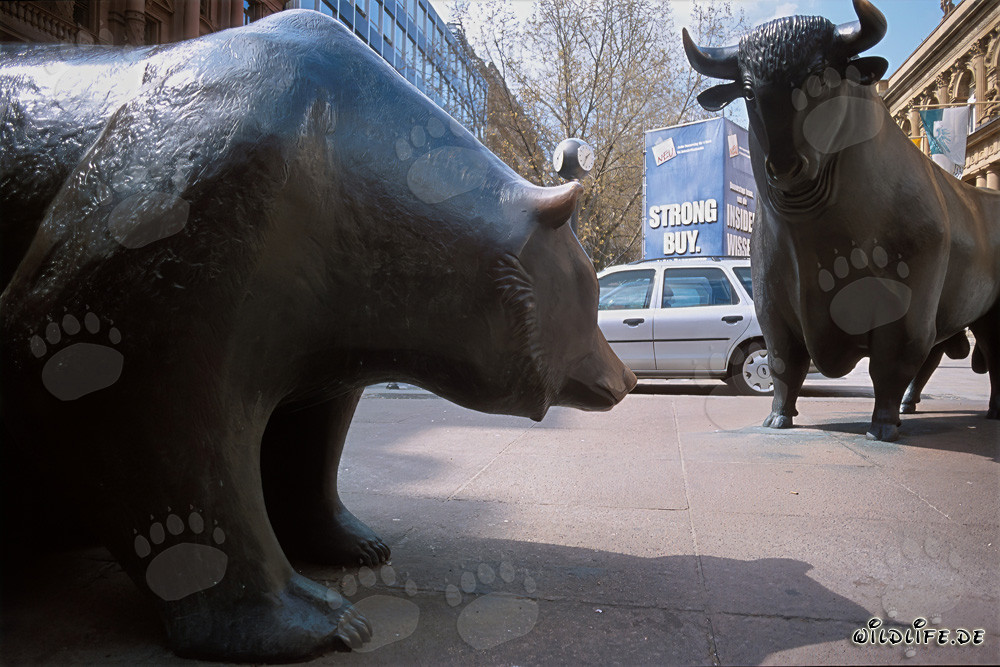 Toro e orso - Figure simboliche della borsa si incontrano a Francoforte