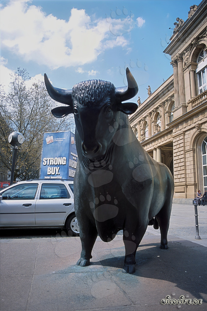 Bulle vor der Boerse Frankfurt - Symbol fuer steigende Kurse und Optimismus