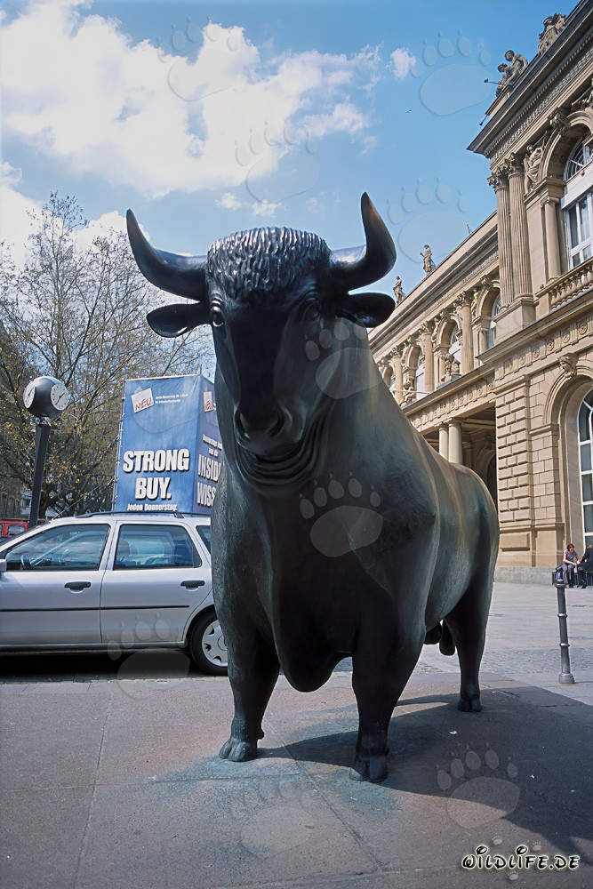 Taureau devant la Bourse de Francfort - Symbole de hausses et d'optimisme