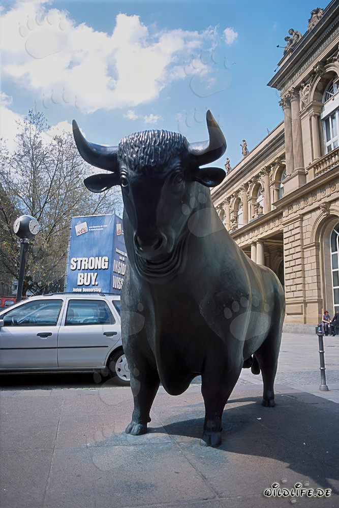 Toro davanti alla Borsa di Francoforte - Simbolo di rialzi e ottimismo