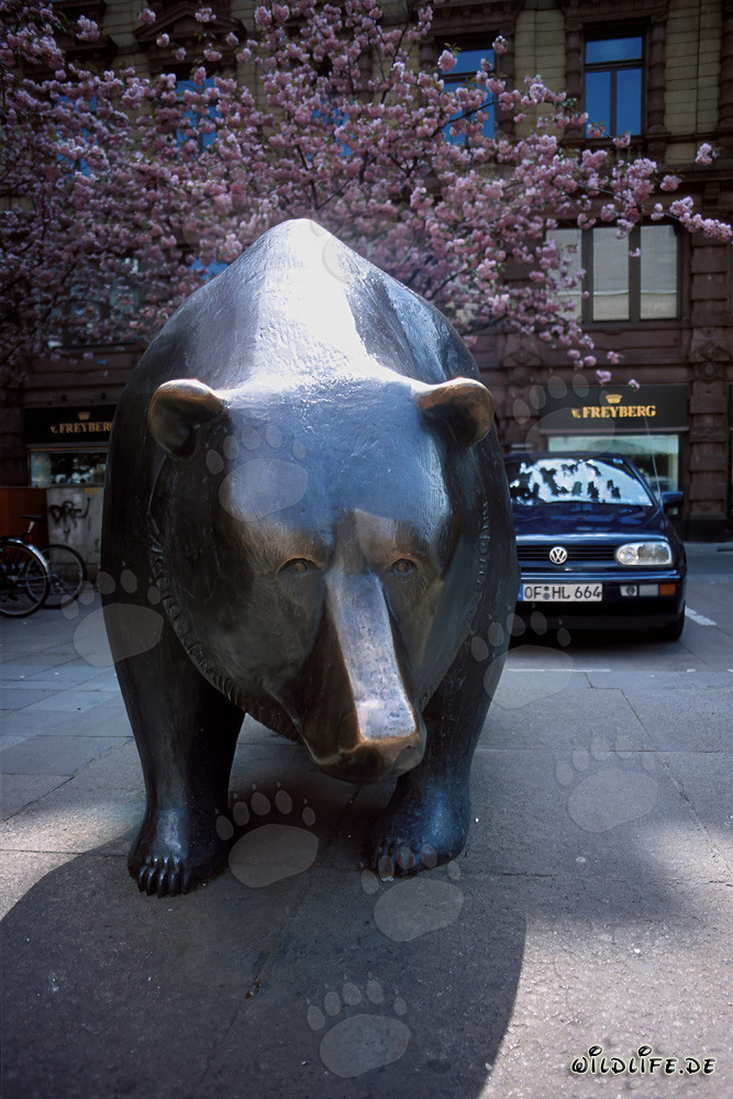Bulle und Bär vor der Börse Frankfurt