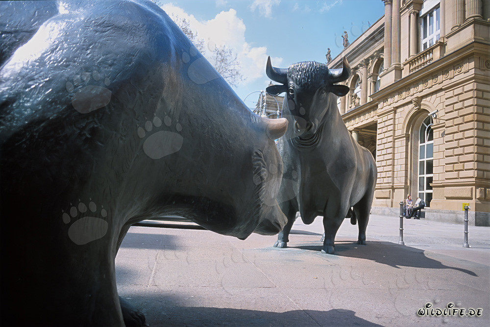 Bulle und Bär - Symbolfiguren der Börse stehen sich gegenüber