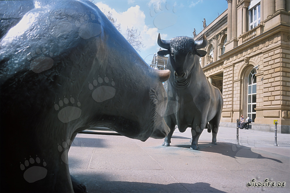 Toro y oso - Figuras simbólicas de la bolsa frente a frente