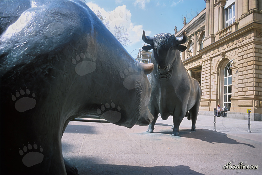 Taureau et ours - Figures symboliques de la bourse se font face