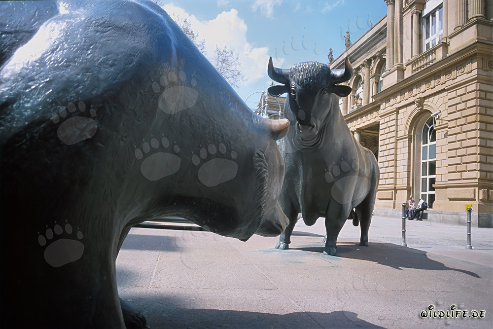 Bull and Bear - Symbolic figures of the stock exchange face each other