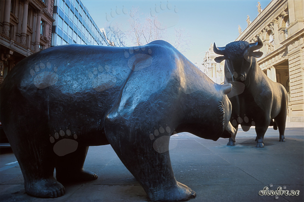 Bulle und Bär - Symbole der Börse und des Marktes