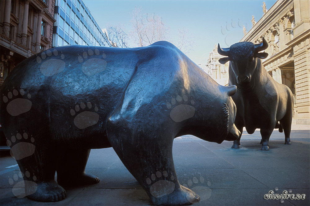 Taureau et ours - Symboles de la bourse et du marché