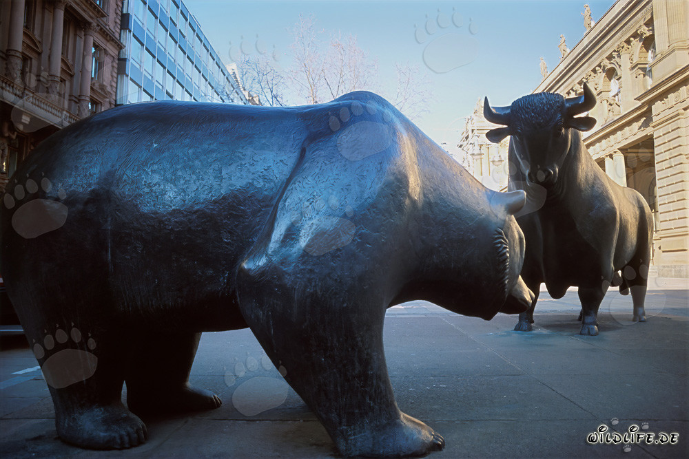 Toro e orso - Simboli della borsa e del mercato