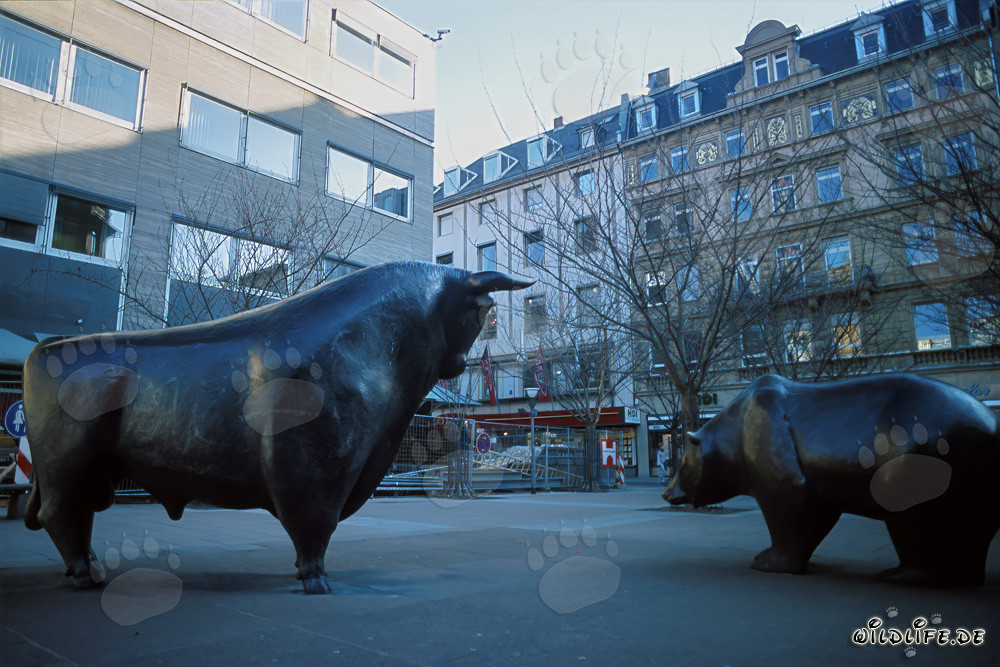 Toro y oso en la Bolsa de Fráncfort