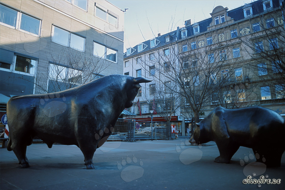 Toro e orso alla Borsa di Francoforte