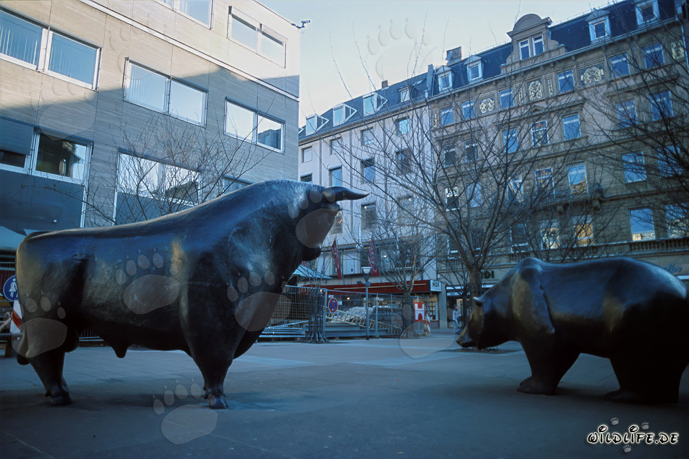 Taureau et ours à la Bourse de Francfort