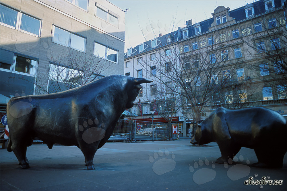 Bull and Bear at the Frankfurt Stock Exchange
