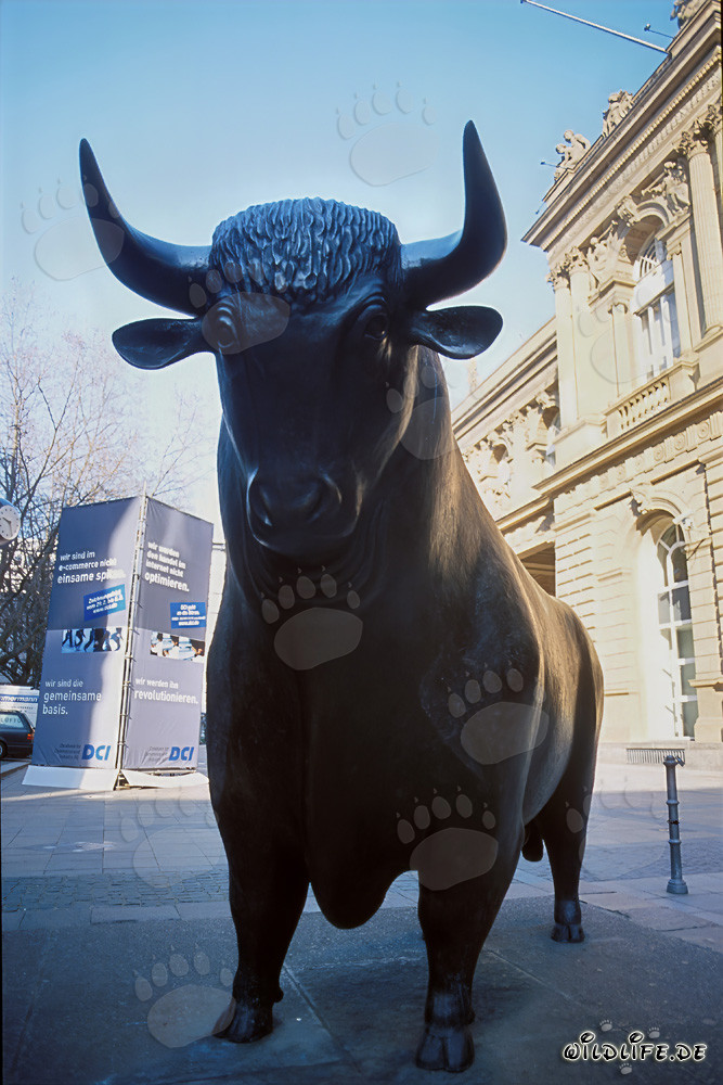Bull in front of the Frankfurt Stock Exchange