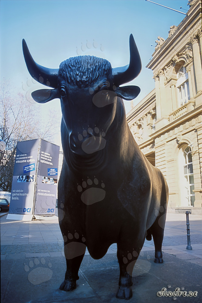 Bulle vor der Frankfurter Börse