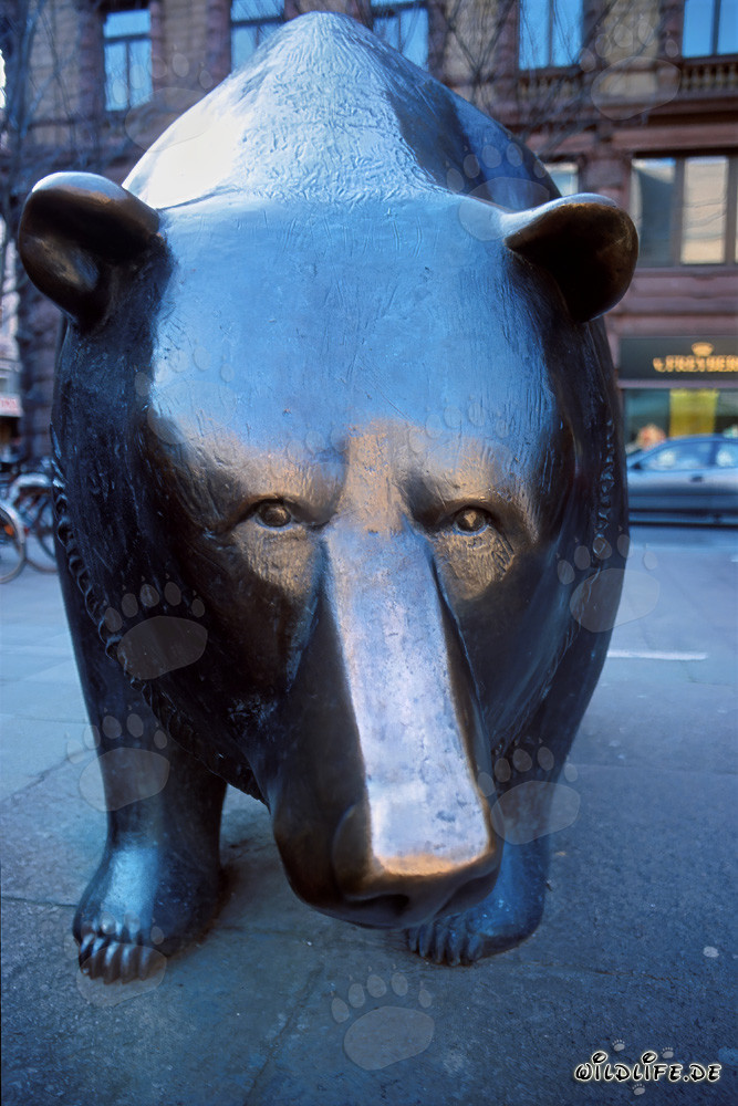 Bull and Bear - Symbolic Figures at the Stock Exchange