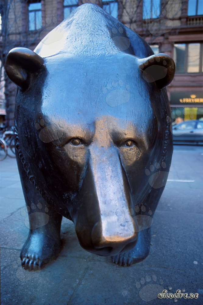Bulle und Baer - Symbolfiguren an der Boerse