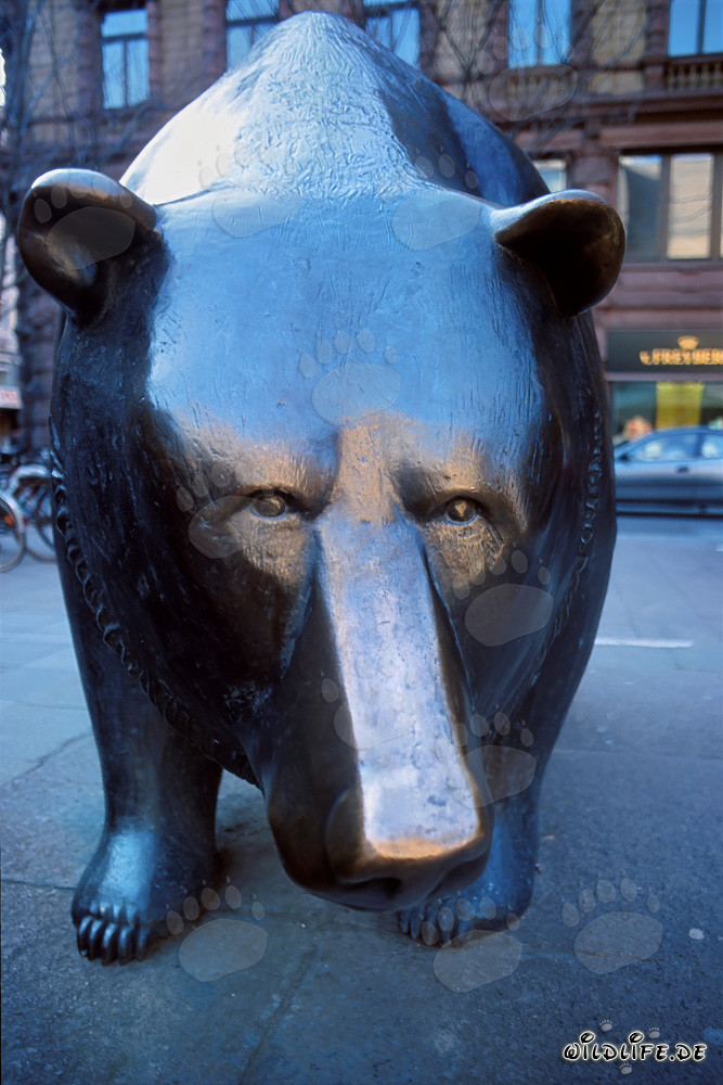 Toro e Orso - Figure simboliche in borsa