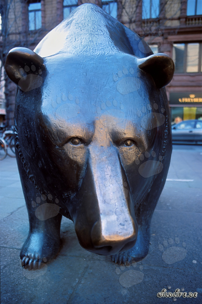 Toro y Oso - Figuras simbólicas en la bolsa
