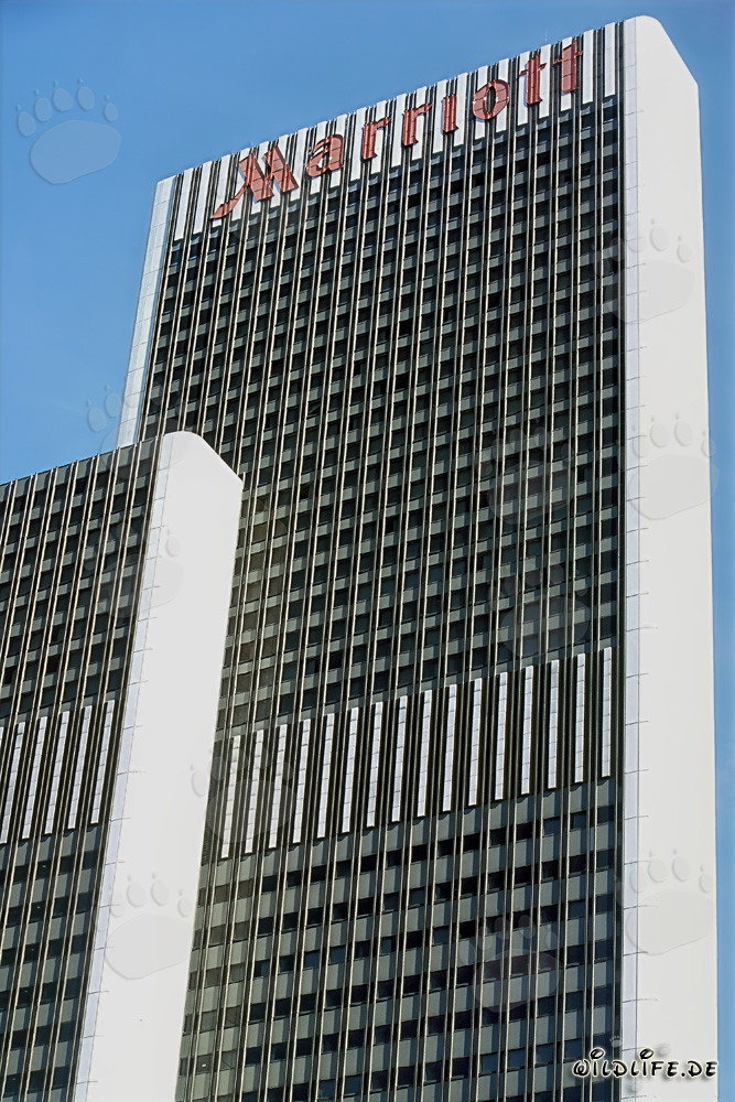 Élégant hôtel Marriott Francfort avec vue sur le salon