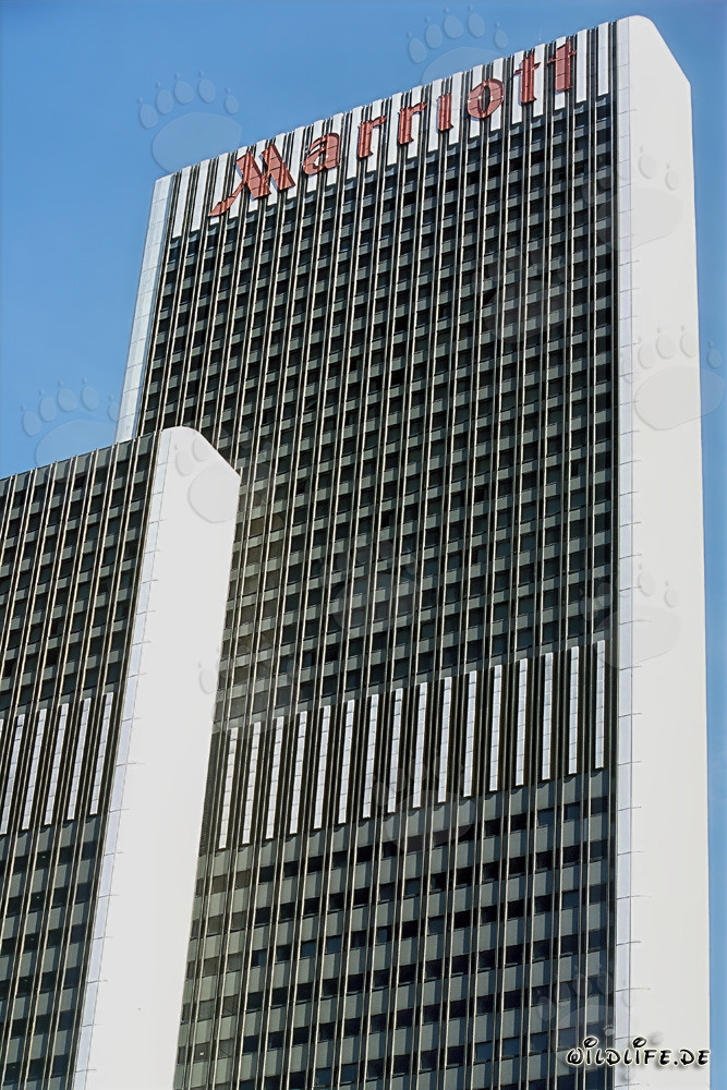 Elegant Hotel Marriott Frankfurt with View of the Trade Fair